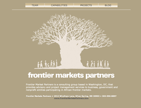 Proposed design for Frontier Markets Partners