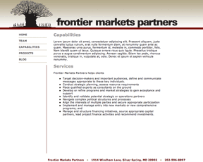 Proposed Capabilities page for consulting firm.